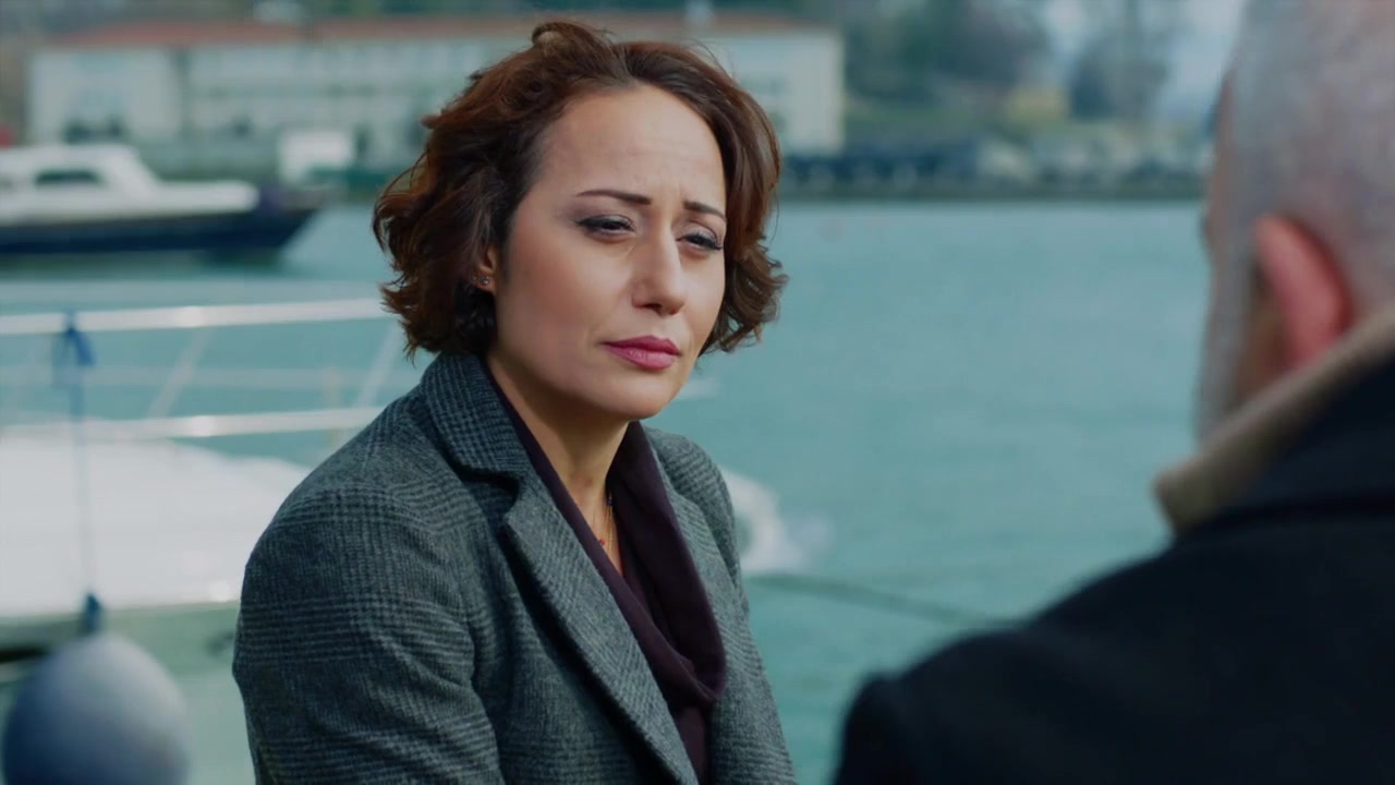 Кадры из сериала Кто из нас не любил? 14 серия 3 сезон (2016)